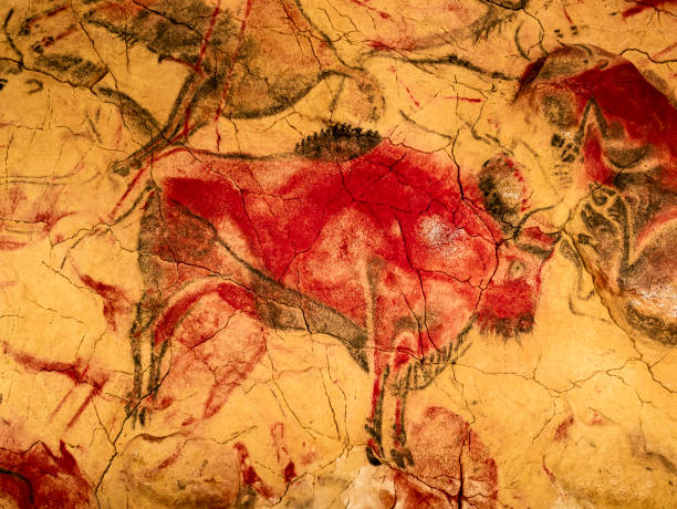Red bisons from Altamira cave Paleolithic rock painting of several red and black bisons in the Altamira cave dated 14,500 years ago, Santillana del Mar, Cantabria, Spain cave painting photos stock pictures, royalty-free photos & images