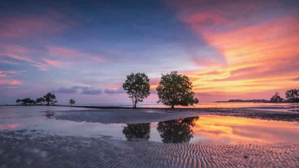 istock Wonderful Sunset moment at Bintan Island Indonesia 1171355971