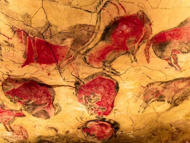 Red bisons from Altamira cave Paleolithic rock painting of several red and black bisons in the Altamira cave dated 14,500 years ago, Santillana del Mar, Cantabria, Spain cave painting photos stock pictures, royalty-free photos & images