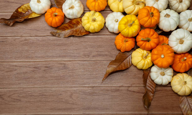 istock Halloween background with pumpkins on wood backdrop. Copy space for text. Festive concept. Thanksgiving concepts. 1171357003