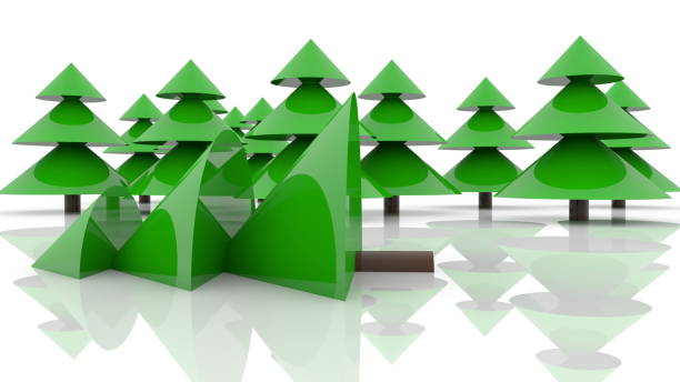 istock Background of green spruces on white background 1171357100