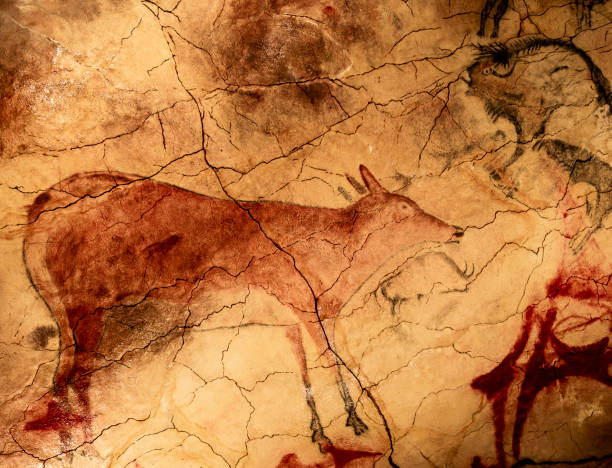 Great deer in the cave painting of Altamira The great deer of Altamira cave measures more than two meters in length. cave painting photos stock pictures, royalty-free photos & images