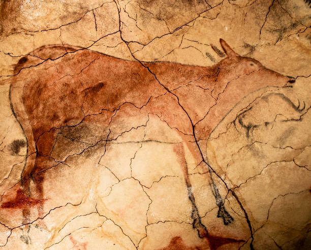 gran ciervo en la pintura rupestre de altamira - cueva de altamira fotografías e imágenes de stock