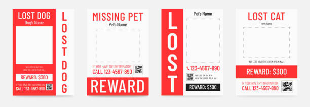 illustrations, cliparts, dessins animés et icônes de affiche perdue de chien, modèle manquant de bannière d'animal familier - lost pet