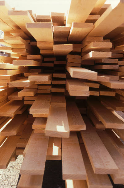 istock Pile of timber in storage close up 1171359365