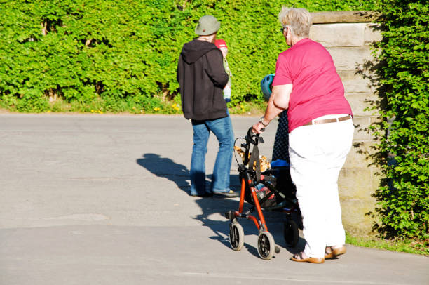пожилая женщина с ходунки наслаждаясь летней прогулки в общественном парке в дортмунде - германия - house wood dirt road footpath стоковые фото и изображения