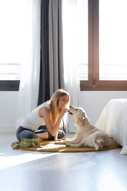 istock Pretty young woman feeding her dog while having fun at home. 1171367290