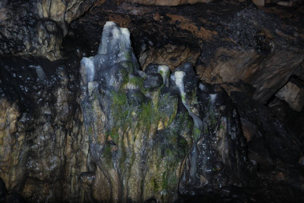 istock Magura cave - Bulgaria 1171367563