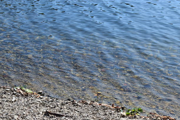 istock Obersee, Rur reservoir system 1171371488