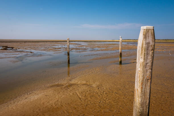 das wattenmeer mit seinem faszinierenden wechselspiel von hoch- und tiefwasser - ebb tide stock-fotos und bilder