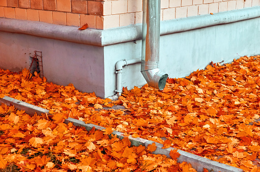 Colourful autumn leaves fallen onto wet asphalt road close rain tube and brick wall