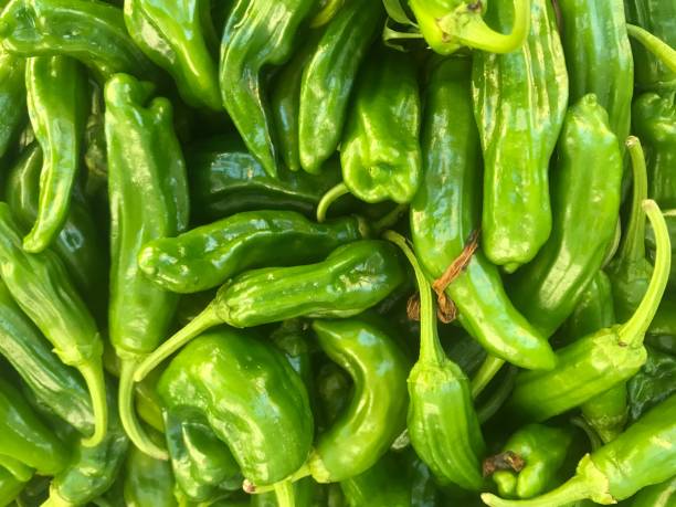 istock green cubanelle also known as Cuban pepper 1171375742