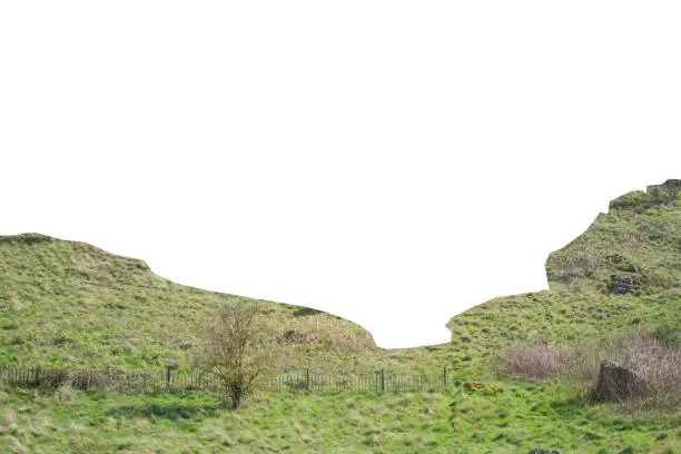 Isolated background of a greened cliff