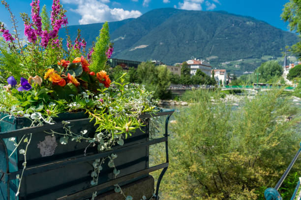 istock Italy, Merano, Alto Adige 1171393514