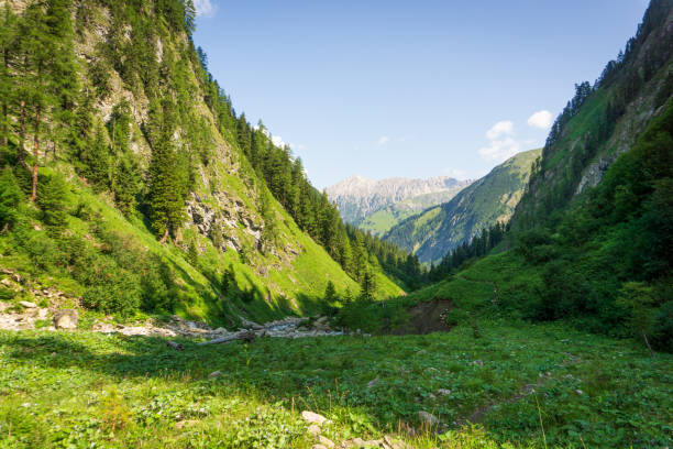 istock Panoramic view in the mountains of lech valley, Tyrol, Austria 1171396321
