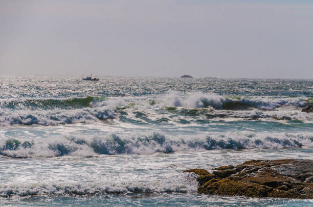 istock Lone Beach Vancouver Island 1171397107