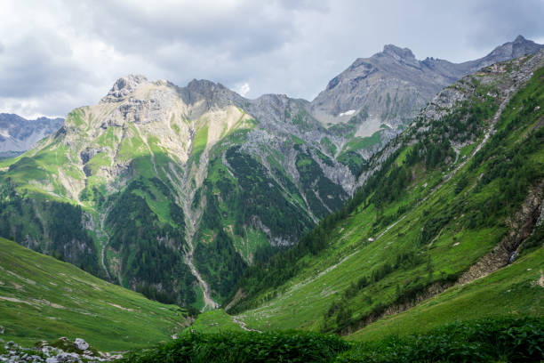 istock Panoramic view in the mountains of lech valley, Tyrol, Austria 1171397116