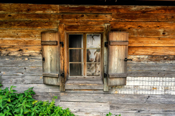 wooden hut hütte farm window in tyrol with cow reflection - coutryside stock-fotos und bilder