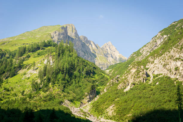 istock Panoramic view in the mountains of lech valley, Tyrol, Austria 1171399411