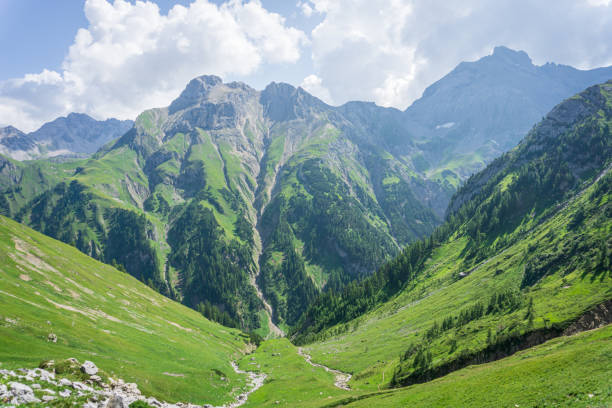 istock Panoramic view in the mountains of lech valley, Tyrol, Austria 1171399418