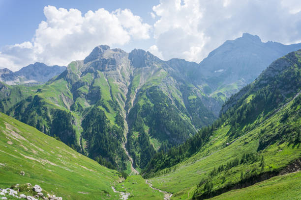 istock Panoramic view in the mountains of lech valley, Tyrol, Austria 1171399504