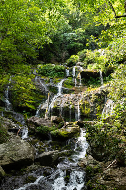 каскад водопада катауба - blue ridge mountains stream forest waterfall стоковые фото и изображения