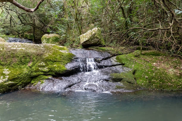 istock Indigenous mountain hike in Uruguay, South America 1171401040
