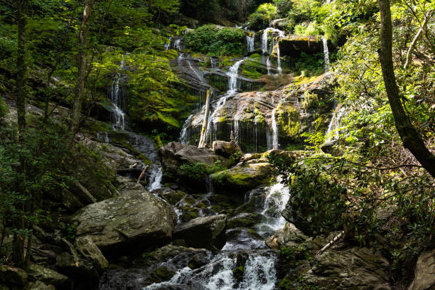 каскад водопада катауба - blue ridge mountains stream forest waterfall стоковые фото и изображения