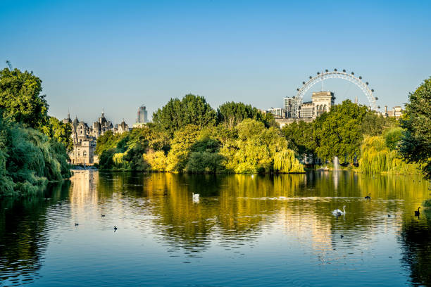 st, james park, london - natural landmark imagens e fotografias de stock