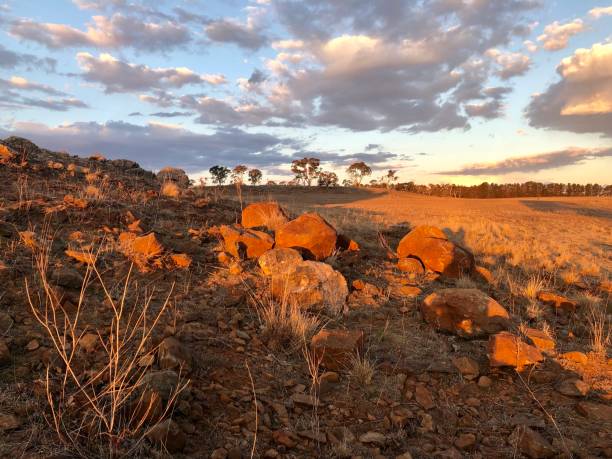 istock Drought Landscape in NSW Australia 1171406946