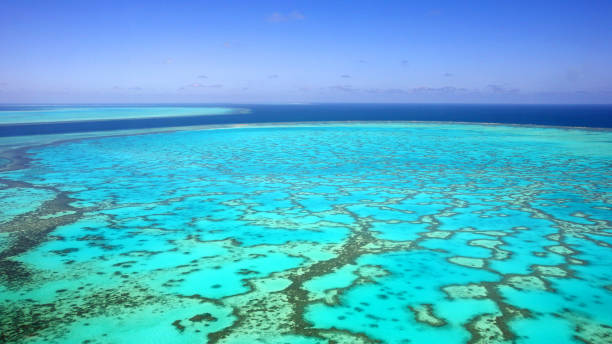 istock Aerial view turquoise coral reef 1171407157