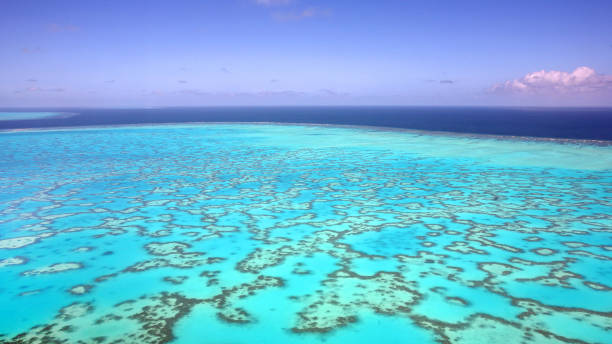 istock Aerial view turquoise coral reef 1171407167