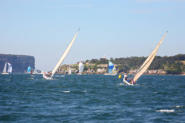 istock Sail boats racing in Sydney harbor 1171407210