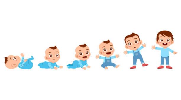 ilustraciones, imágenes clip art, dibujos animados e iconos de stock de bebé niño a pequeño vector de ciclo de vida - babies or children