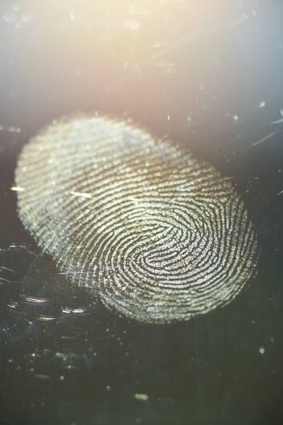 프레임 상단에 빛이 빛나는 스마트 폰 유리의 단일 지문 - biometrics touching glass fingerprint 뉴스 사진 이미지