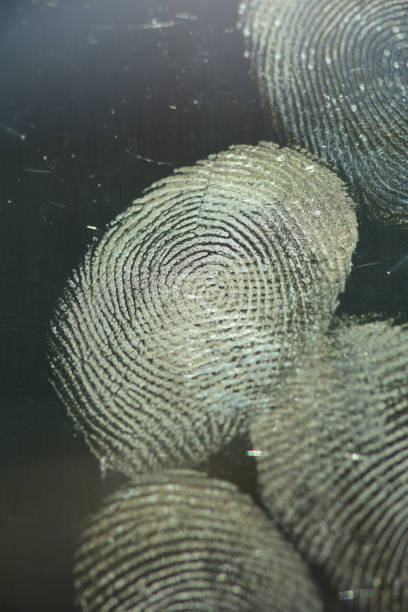 어두운 스마트 폰 유리에 지문 의 그룹 - biometrics touching glass fingerprint 뉴스 사진 이미지