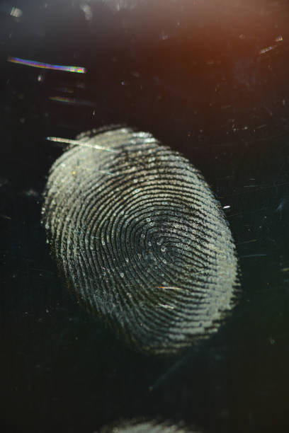 empreinte digitale unique sur le verre de smartphone avec des rayures légères - forensic science flash photos et images de collection