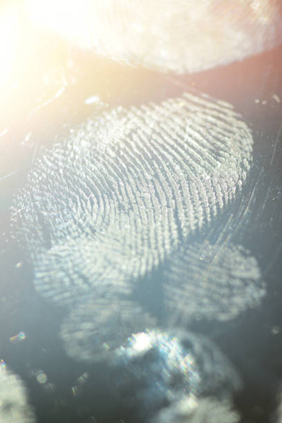 fingerprint ( from photographer) made by Dutch police