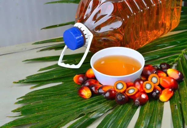 Photo of Palm oil, a well-balanced healthy edible oil is now an important energy source for mankind. It comes from the fruit itself (reddish orange).