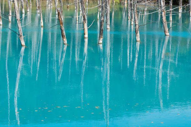 istock The surface of a summer blue pond in Biei 1171413125