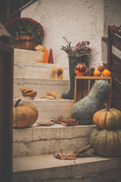Path lined with pumpkins, autumn harvest holiday