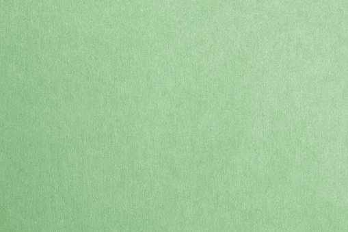 Recycled paper texture background in light green