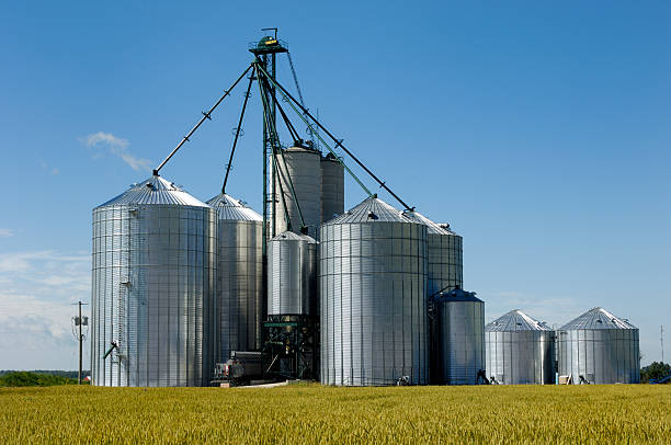 istock Agricultural seed or feed silos in a field. 117141986