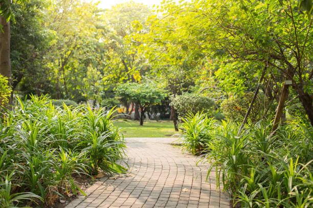 istock Road in the beautiful park background with sunlight 1171422986