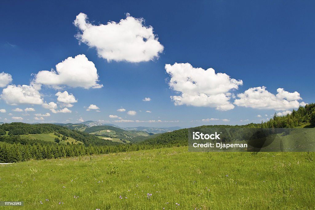 Paisaje de montaña - Foto de stock de Agricultura libre de derechos