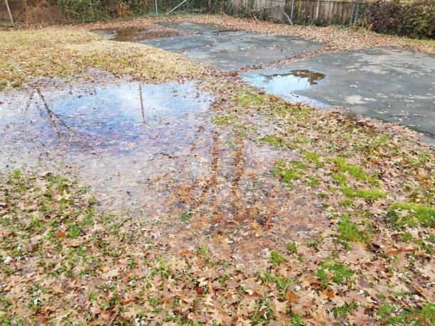 istock large water puddle and fallen leaves and asphalt 1171427973