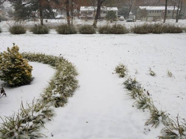 istock front yard with snow and grasses in winter 1171431449