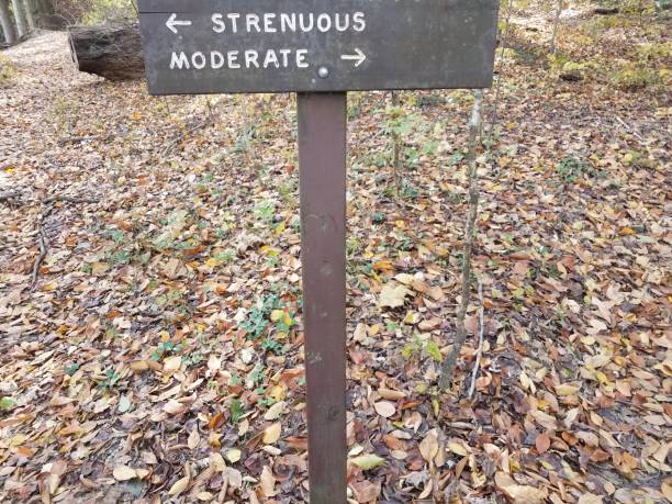 istock wooden strenuous or moderate sign on trail with fallen leaves 1171432159