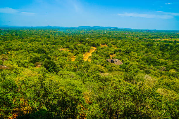 istock Scenery visible from the top of Sigiriya rock 1171436734