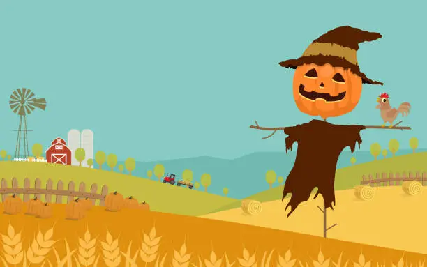 Vector illustration of Halloween day background with wheat, harvested pumpkins, straw bale, farm field, barn and Jack-'o-lantern scarecrow. Vector illustration.